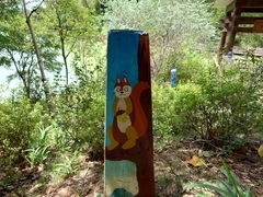 -广州白江湖森林公园