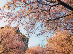 -山东师范大学(千佛山校区)