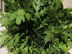 -同仁四季椰子鸡(福田东园总店)