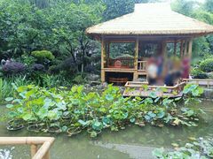 -望江楼公园