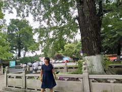 -瀛洲公园