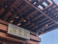 -银湖山郊野公园-相思林