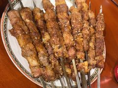 -蒙古大营(朝阳公园店)