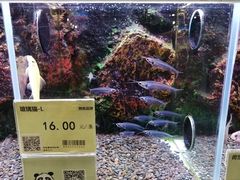 -龟与熊猫宠物公园(南坪店)