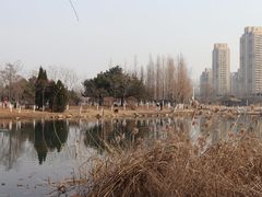 -前关湿地公园