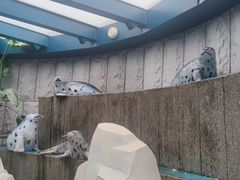 -青岛海底世界-水族馆