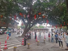 -麦当劳(南后街店)