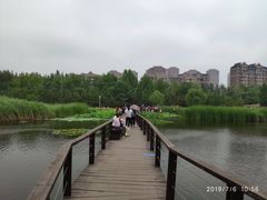 -前关湿地公园