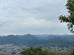 -长虫山生态公园风景林