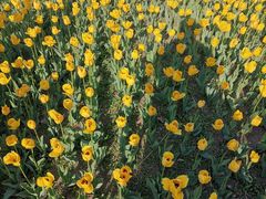 -长春公园(普阳街道)