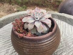 -远山有窑