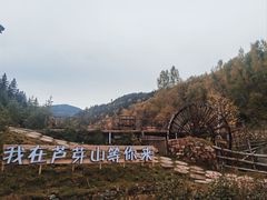 -芦芽山旅游度假区