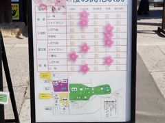 -醍醐寺