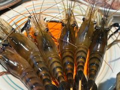 -Thai Basil罗勒叶泰式餐厅(时代天街店)