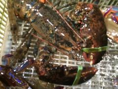 iphone_upload_pic-沈家门海鲜夜排档(东港店)