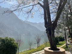 -秦岭终南山世界地质公园翠华山景区
