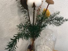 -外南梦咖啡馆