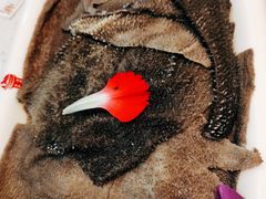 -皇三爷火锅(宜昌旗舰店)