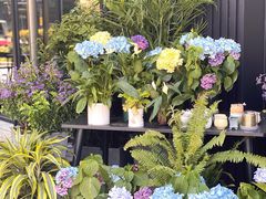 -West10 西拾·西餐厅·创意菜(未来科技城店)