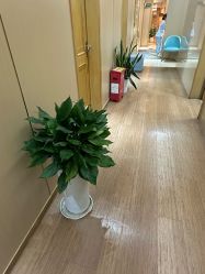 -重庆星宸整形美容医院