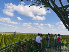 -黄海国家森林公园