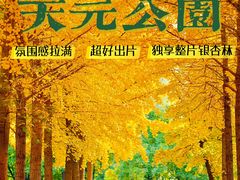 -沉浸北京·团建旅行·密室剧本杀·年会会议轰趴拓展