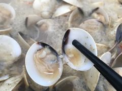 -顺德哥卜卜贝(旗舰店)