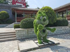 -阳台山自然风景区