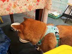 -花满楼(启秀路店)