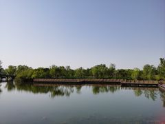 -溱湖国家湿地公园