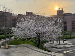 -山东大学(兴隆山校区)