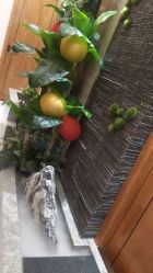 -芳朵美容养生SPA