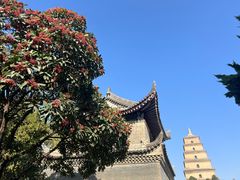 -大慈恩寺(大雁塔)