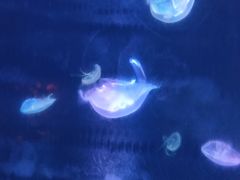 -杭州海底世界