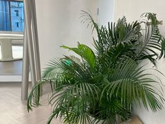 -YCHL FIT 健身(星寰店)