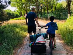 -永定河休闲森林公园