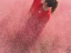 -羊亭河湿地公园