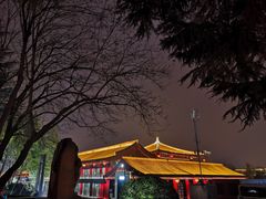 -大雁塔北广场音乐喷泉