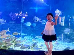 -烟台海昌鲸鲨海洋公园