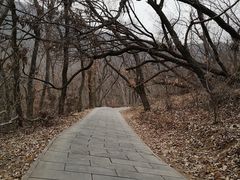 -皇藏峪国家森林公园