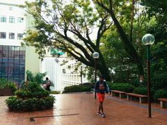 -香港大学