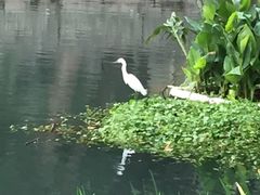 -普陀山风景名胜区-法雨禅寺