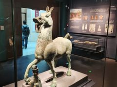 -广西壮族自治区博物馆