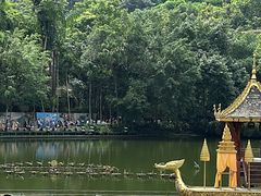 -西双版纳原始森林公园