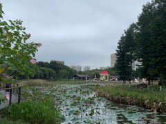 -映月湖公园