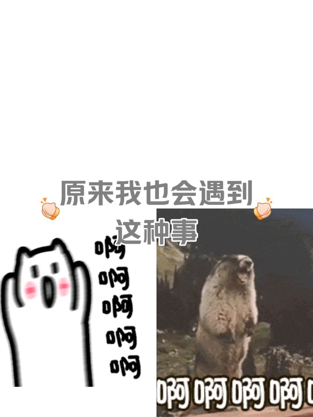 泼天的富贵终于轮到我啦!