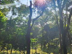 -燕晗山郊野公园
