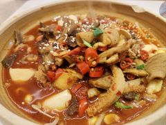 -蟹宗蟹(润达国际五楼店)