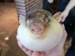 -永安鱼庄·镇江菜(东吴路店)