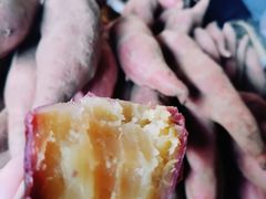 -南沙十九涌渔人码头-南门